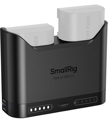 Amazon.com : Canon CG-A10 Dual Battery Charger : Electronics